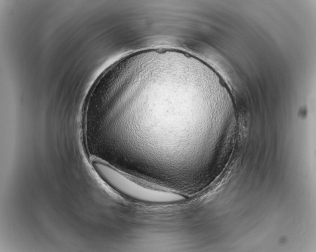 X0000098171142200805080955