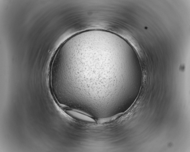 X0000098171143200805080955