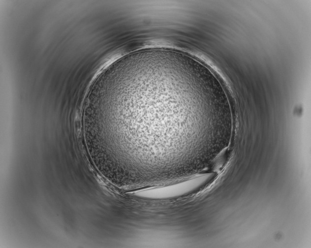 X0000098171145200805080955