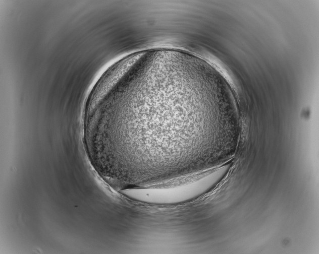 X0000098171148200805080955