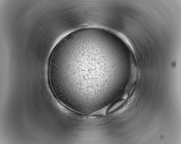 X0000098171149200805080955