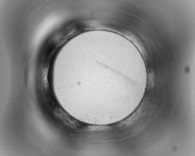 X0000098171150200805080955