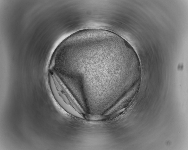 X0000098171152200805080955