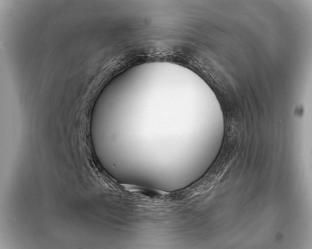 X0000098171153200805080954