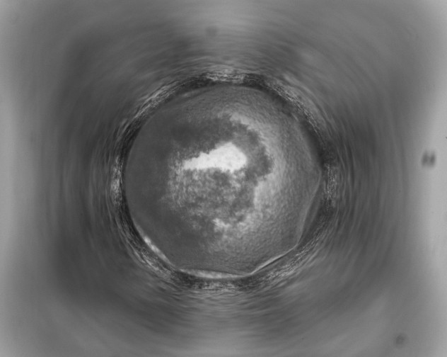 X0000098171154200805080954