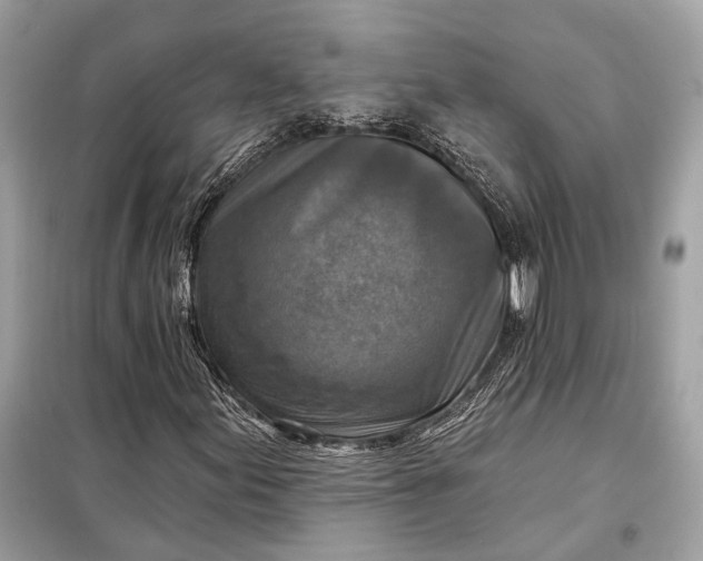 X0000098171155200805080954