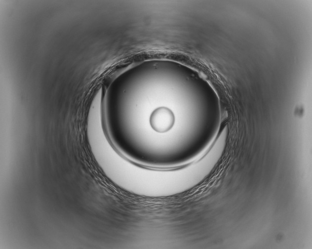 X0000098171157200805080954