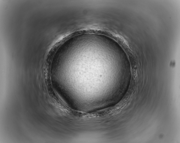 X0000098171159200805080954