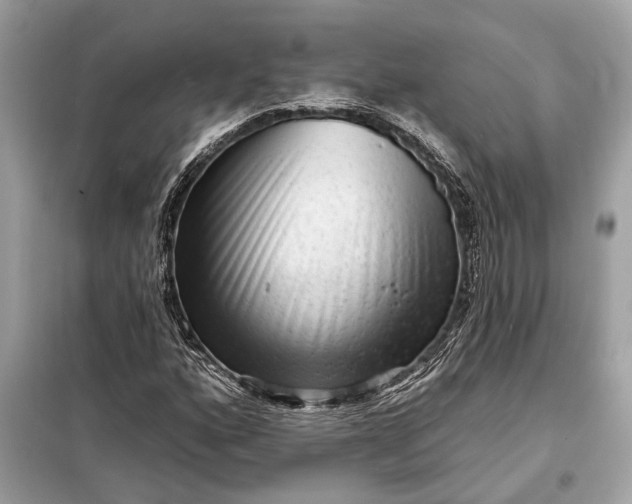 X0000098171160200805080954