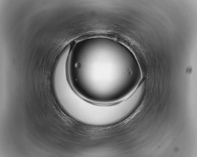 X0000098171161200805080954