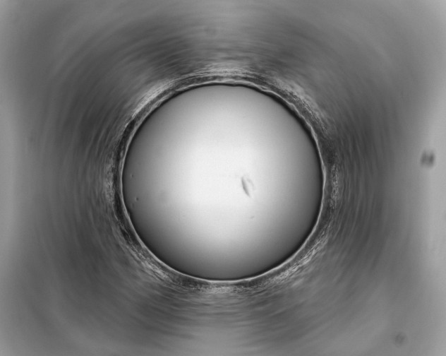 X0000098171162200805080954