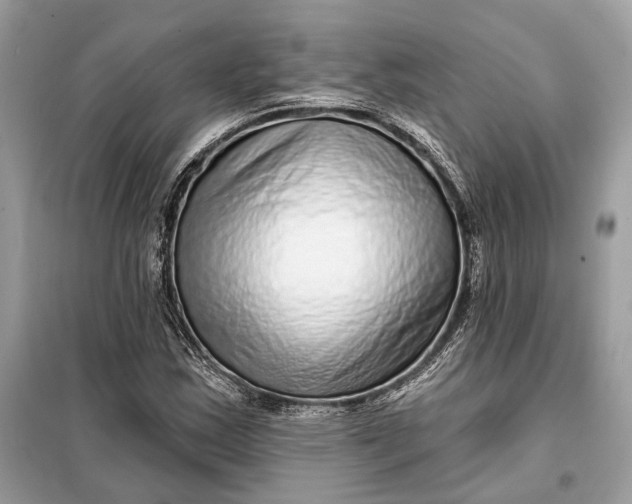 X0000098171163200805080954