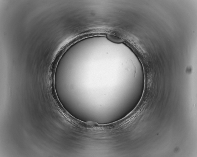 X0000098171164200805080954