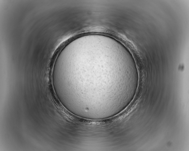 X0000098171166200805080954