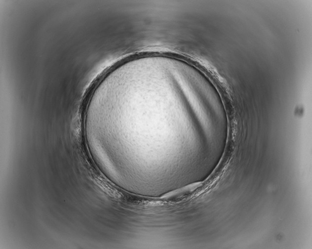 X0000098171167200805080954