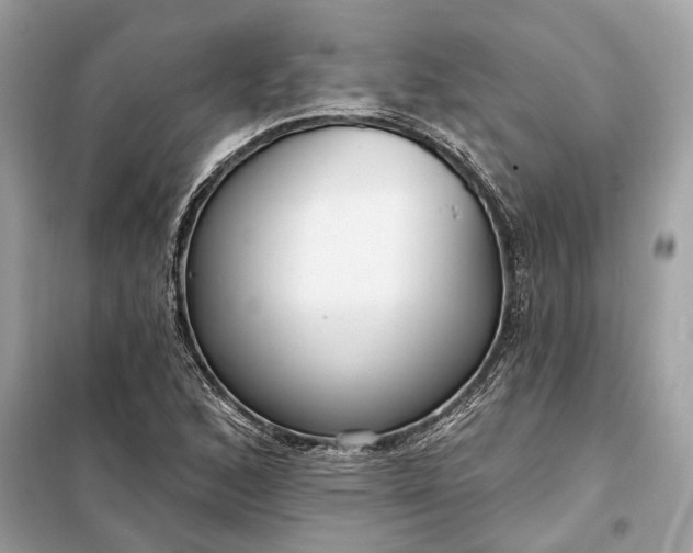 X0000098171168200805080954