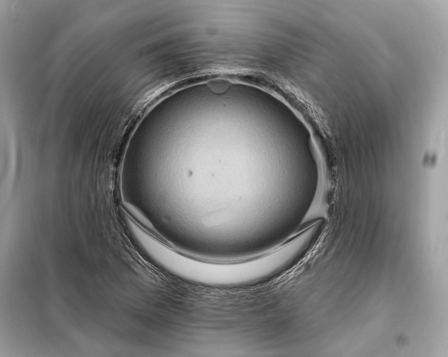 X0000098171169200805080954