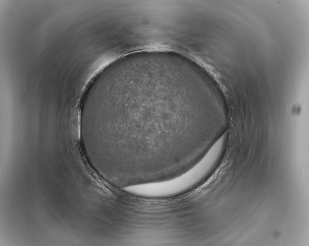 X0000098171171200805080954