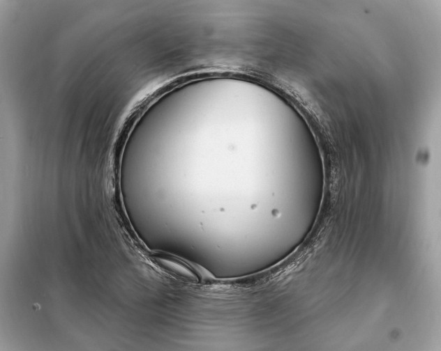 X0000098171172200805080954