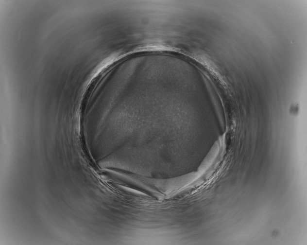 X0000098171173200805080954