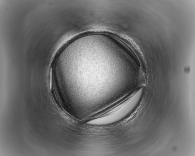 X0000098171175200805080954