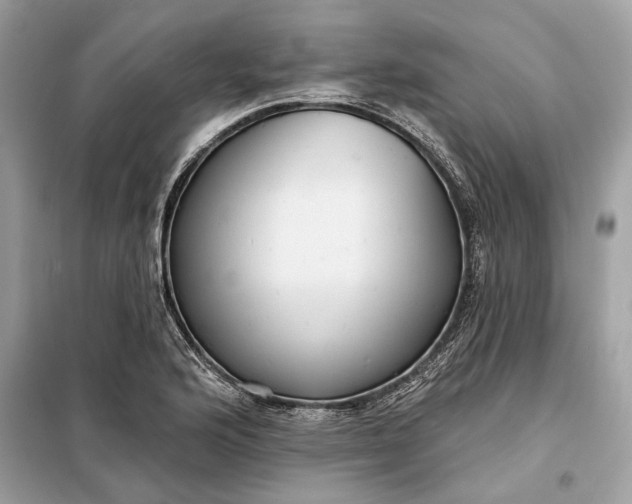 X0000098171176200805080954