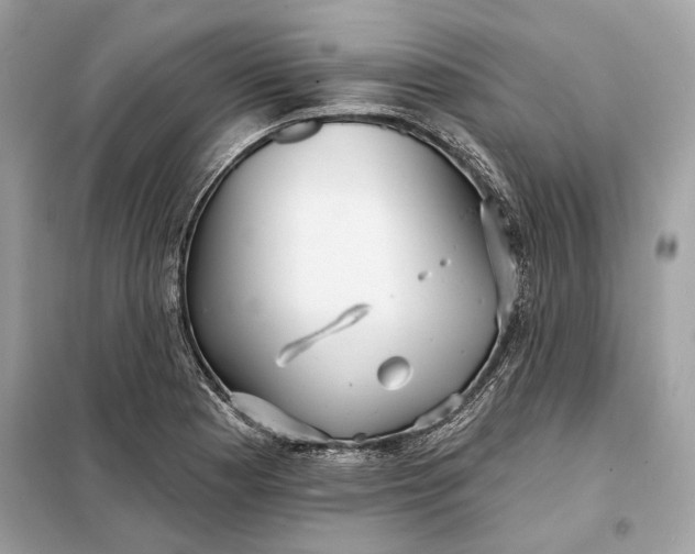 X0000098171177200805080954