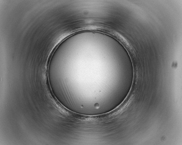 X0000098171178200805080954