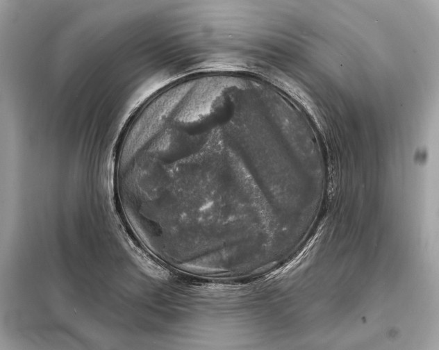 X0000098171179200805080954