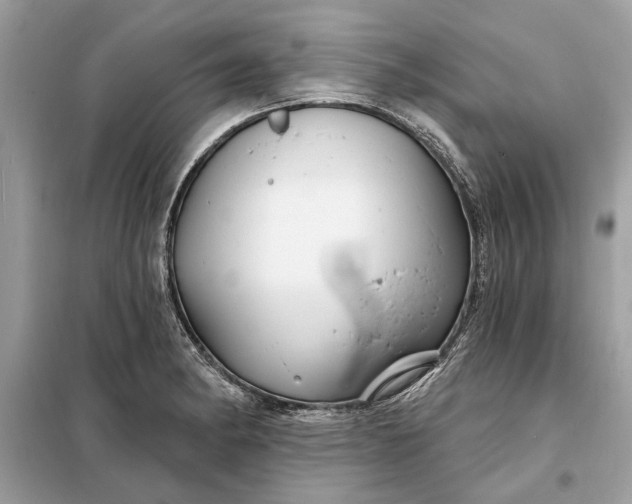 X0000098171182200805080954