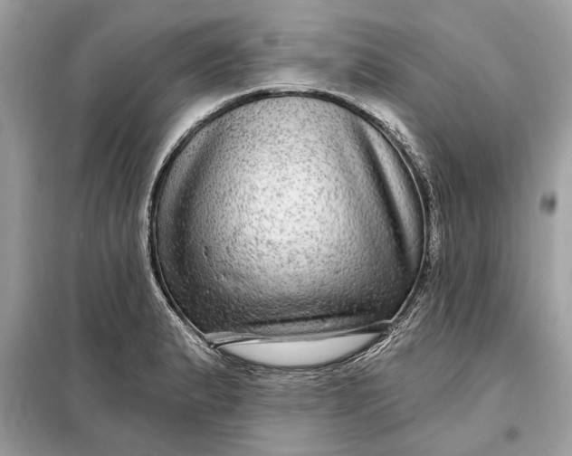 X0000098171183200805080954