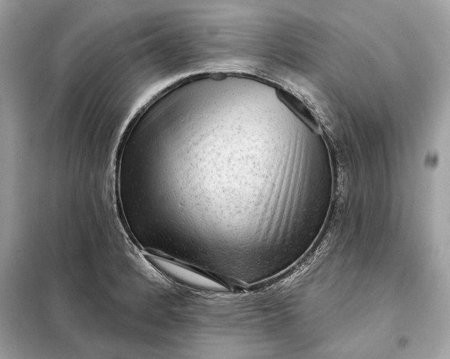 X0000098171184200805080954