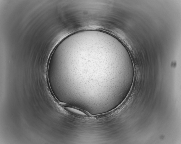 X0000098171186200805080954