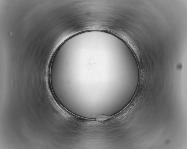 X0000098171187200805080954