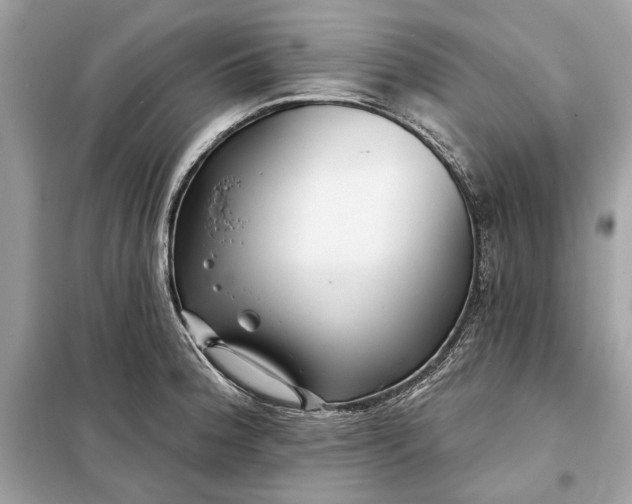 X0000098171188200805080954