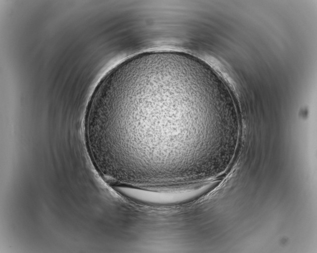 X0000098171189200805080954