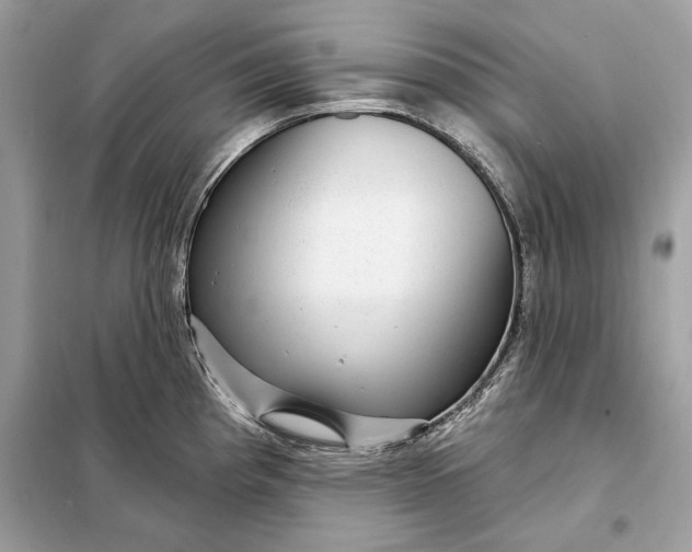 X0000098171193200805080954