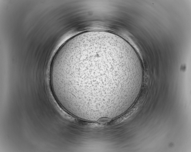 X0000098171195200805080954