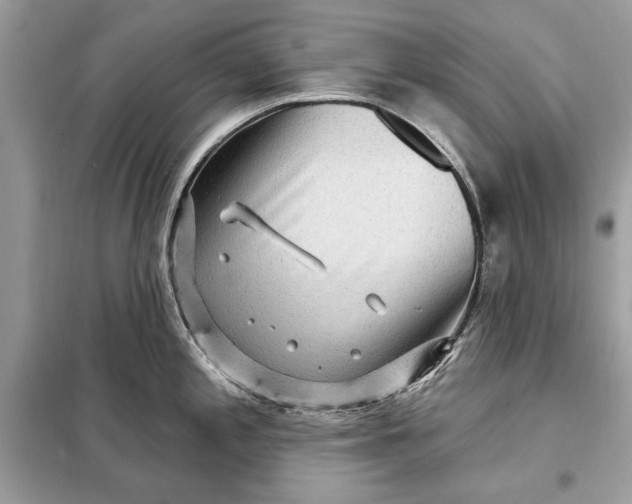 X0000098171197200805080954