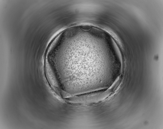 X0000098171198200805080953