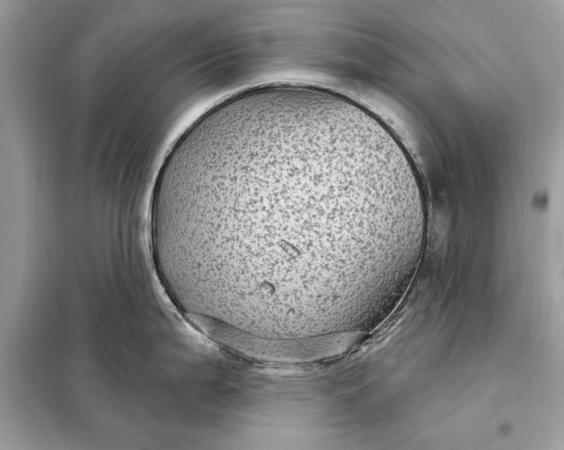 X0000098171199200805080953