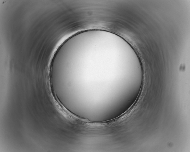 X0000098171200200805080953