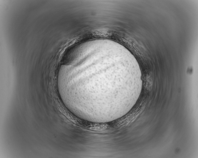 X0000098171201200805080953