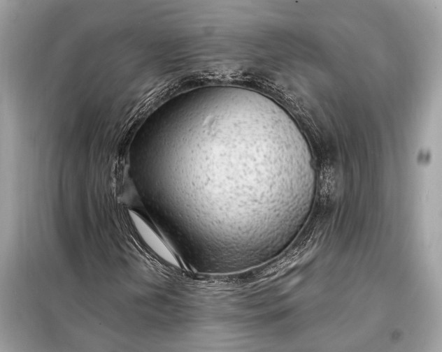 X0000098171202200805080953