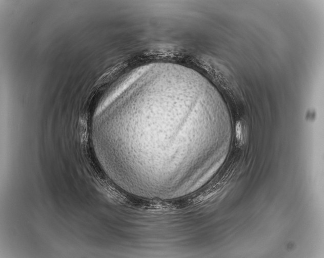 X0000098171203200805080953