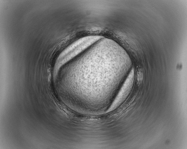 X0000098171204200805080953