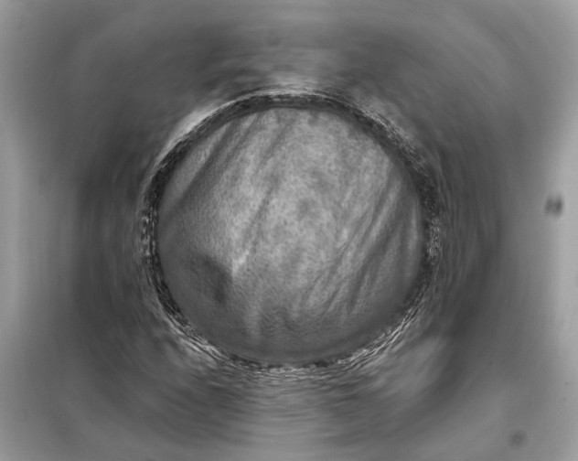 X0000098171208200805080953