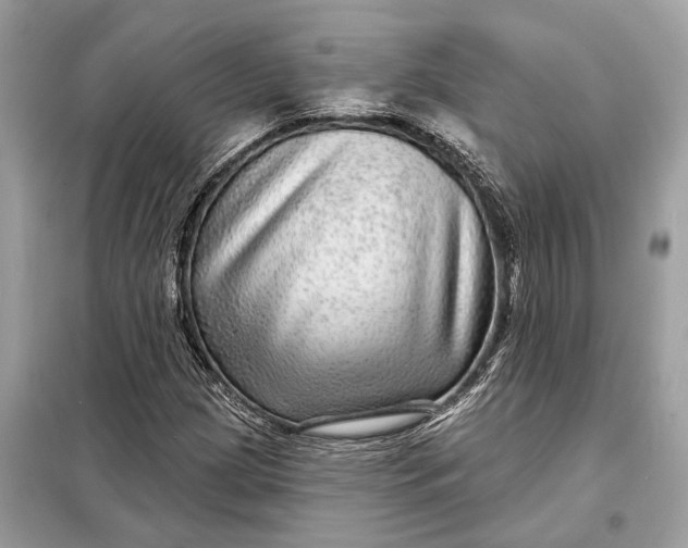 X0000098171209200805080953