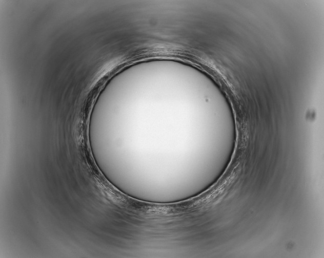 X0000098171211200805080953