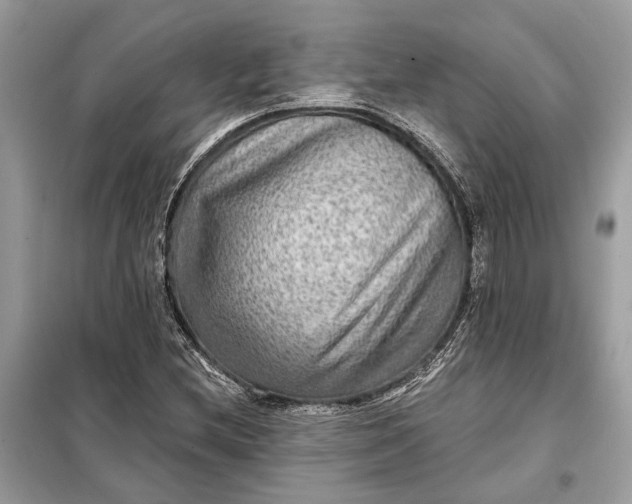 X0000098171212200805080953